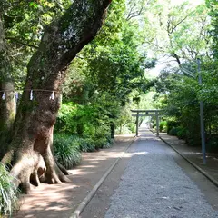 市民の森