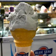 ブルーシール