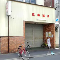紅梅温泉