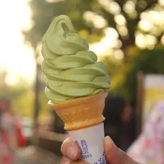 ふじや茶舗