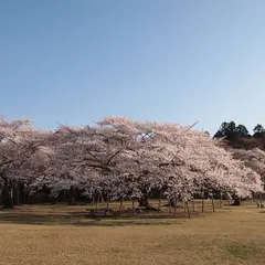 三神峯公園