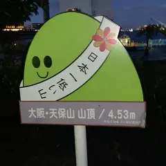 天保山