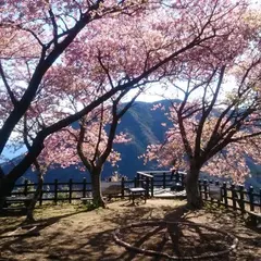 河津城跡公園(旧河津城跡)