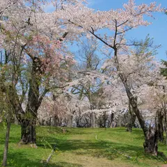 青葉ヶ丘公園
