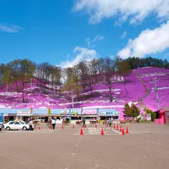 東藻琴芝桜公園