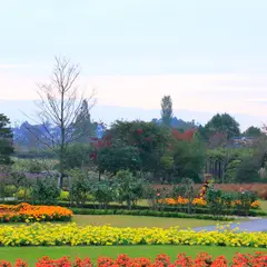 清水公園花ファンタジア
