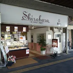 白ばら 駅前店