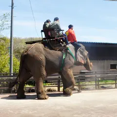 那須ワールドモンキーパーク