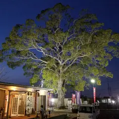 大法寺