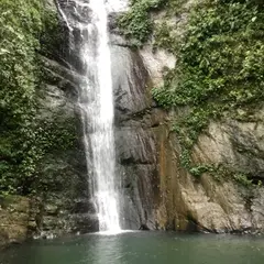 台湾