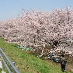 荒川運動公園