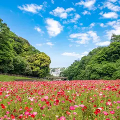 くりはま花の国