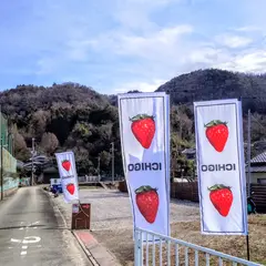 いけだのいちご狩り屋さん