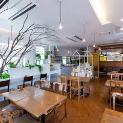 ファシオール オーガニックカフェ アージョ