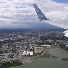 マルゲラ