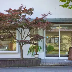 トキノハ