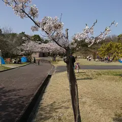 南部丘陵公園