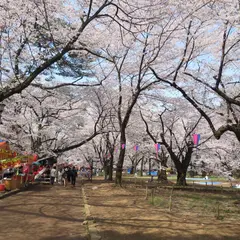 大宮公園小動物園