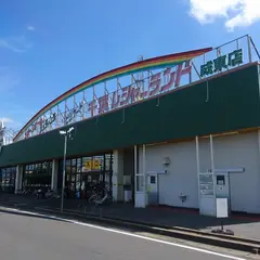 千葉レジャーランド成東店