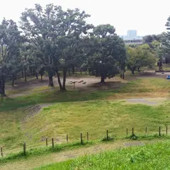 玉川野毛町公園