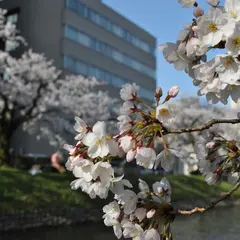 富山県民会館
