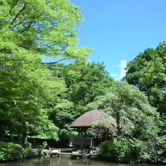 県立東高根森林公園パークセンター