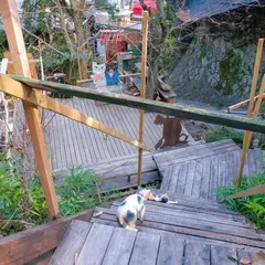 尾道市