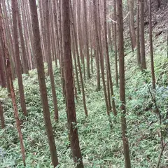 北畠具親城跡