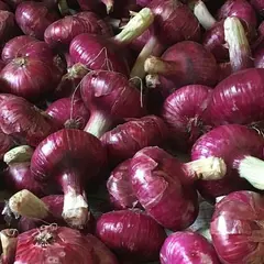 ダイニングバー椿