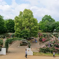 光綾公園