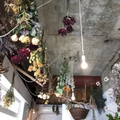 PURO BLANCO