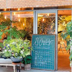 sower flower / plants