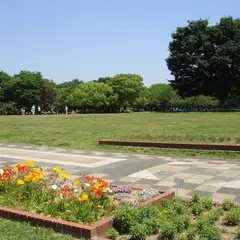 庄内緑地