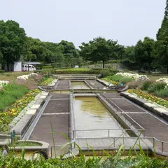 荒子川公園ガーデンプラザのラベンダー