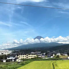 酔ごころ
