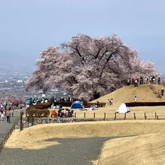 笛吹市役所 八代ふるさと公園