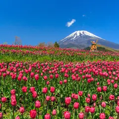 ぐりんぱ