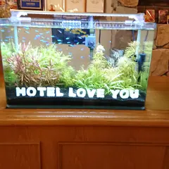こんぱまる京都店