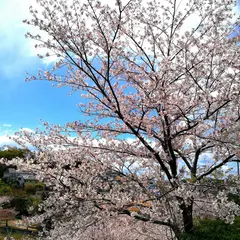塩屋台公園