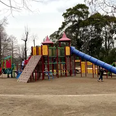 柏の葉公園