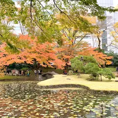 内庭(小石川後楽園)