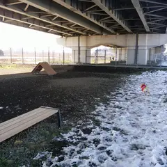 新見沼大橋スポーツ広場ドッグラン