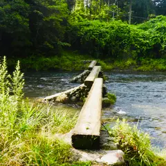 早瀬の一本橋