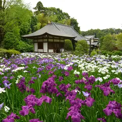 正覚寺