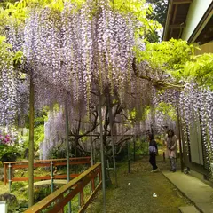 龍頭寺