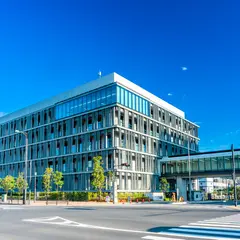 豊洲市場