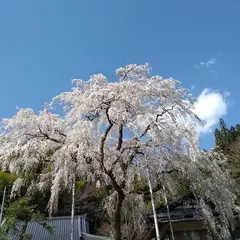 大安寺