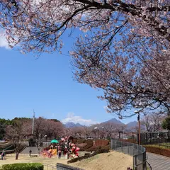 ふれあい公園