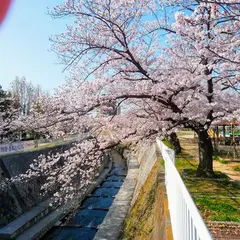 妙法寺川公園