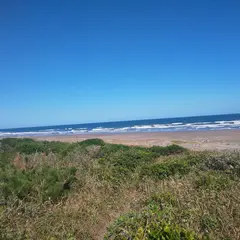 波崎海岸砂丘植物公園